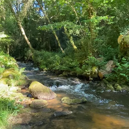 Studio aux Sources de la Chabanne Saint-Hilaire-les-Courbes Extérieur photo