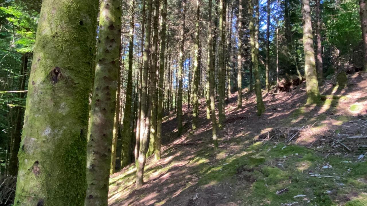 Aux Sources De La Chabanne * Saint-Hilaire-les-Courbes