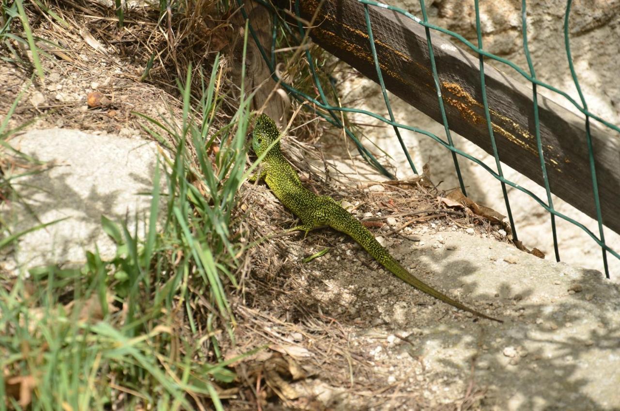 Aux Sources De La Chabanne