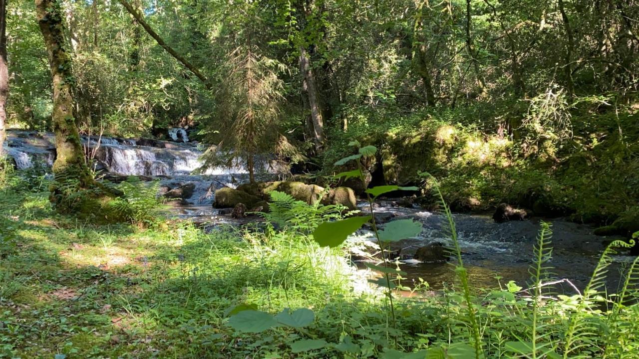 Aux Sources De La Chabanne Appartement Saint-Hilaire-les-Courbes